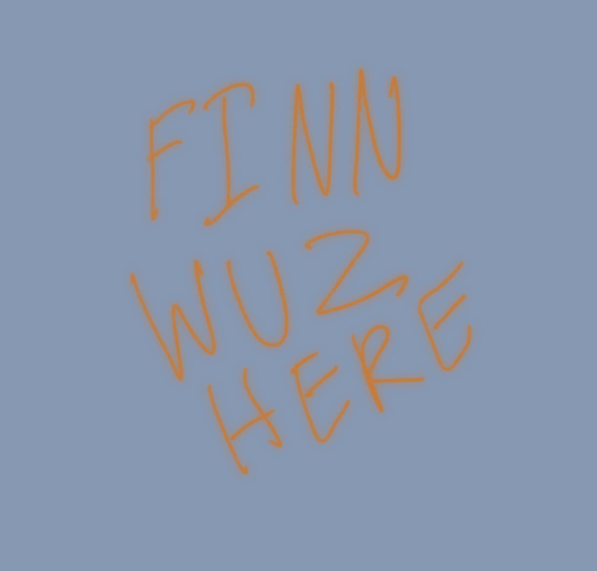 Finns Adventure
