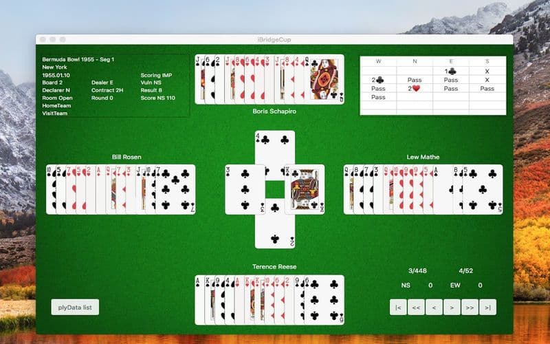 iBridgeCup screenshot 3