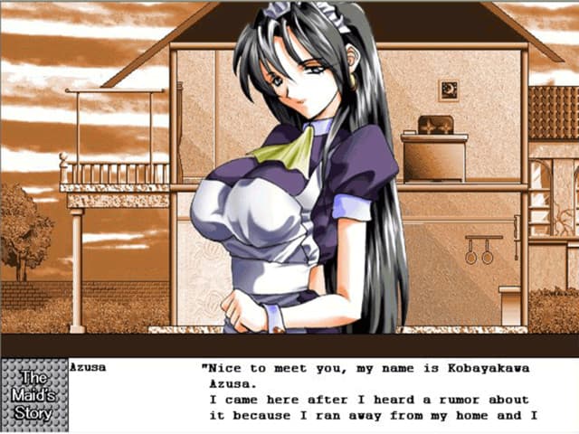 The Maids Story screenshot 5