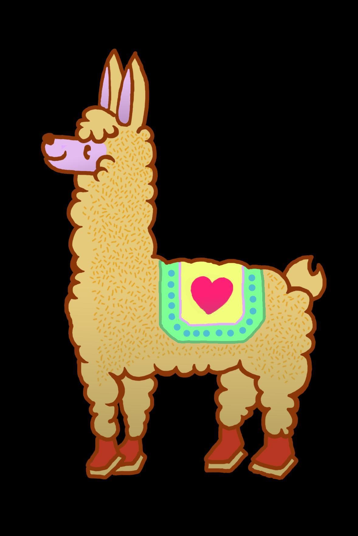 Proyecto Cholita
