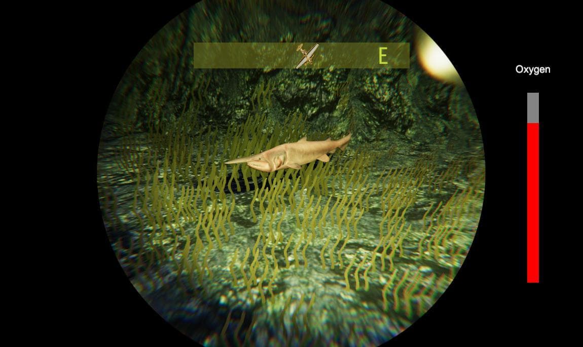 Sea: Officially Lost screenshot 4
