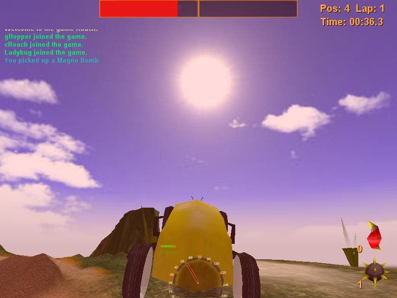 Bugged-Out Rally