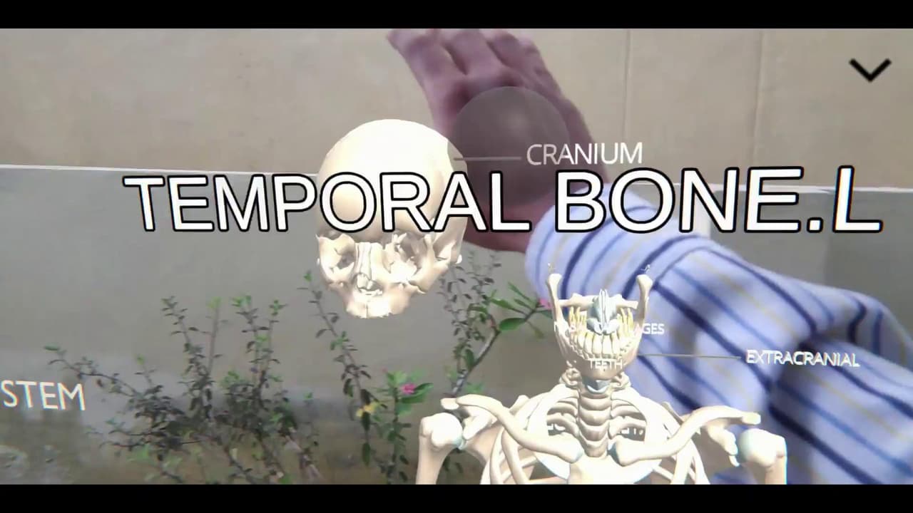 Immersive Human Anatomy screenshot 2