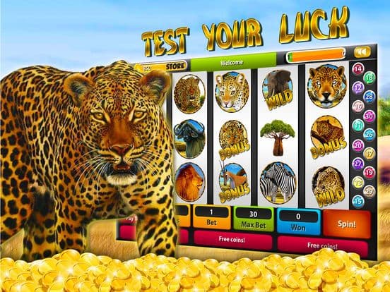 Leopard Slot Machines – Big Win Casino