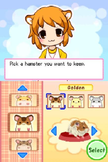 Hamsterz Life screenshot 2