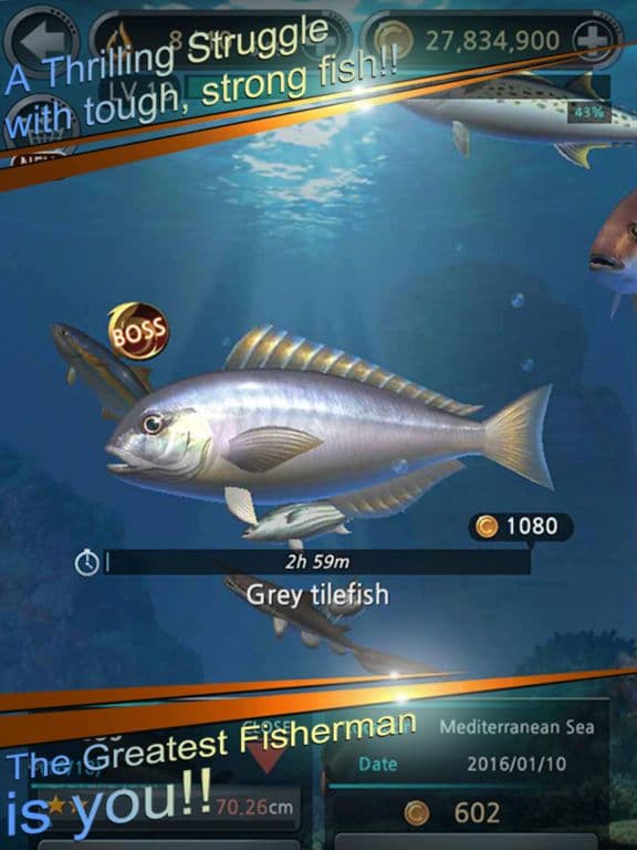 Fishing Hook screenshot 3