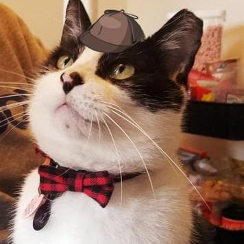 Kitty Cat Detective Taz: The Eviction Crisis screenshot 2