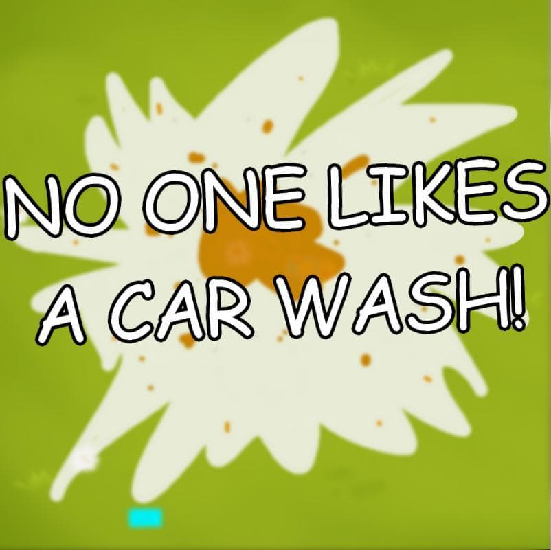 NO ONE LIKES A CAR WASH!