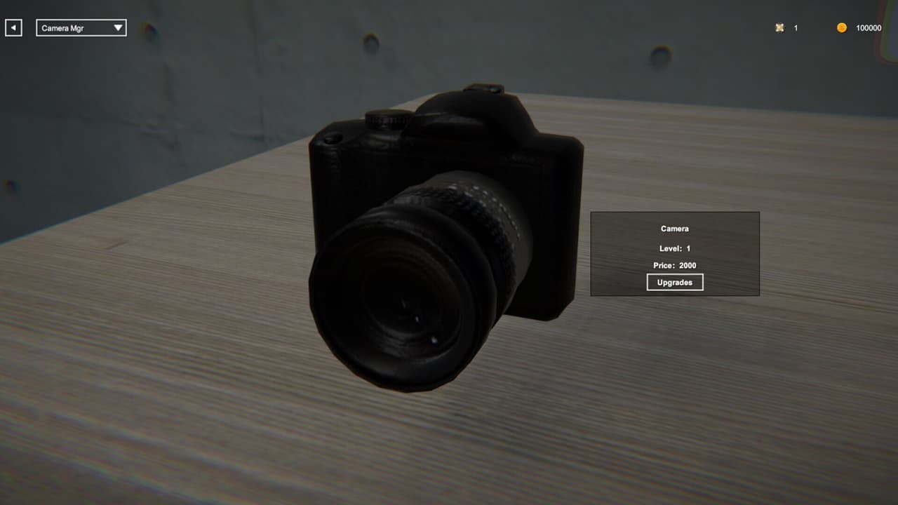 Secret Photo screenshot 3