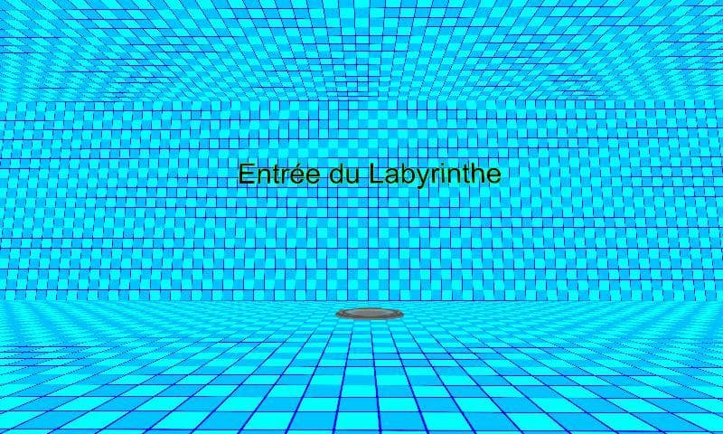 BUniver: Super Labyrinthe screenshot 2