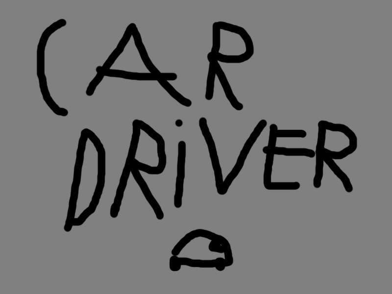car driver (oguzhanyanginci213)