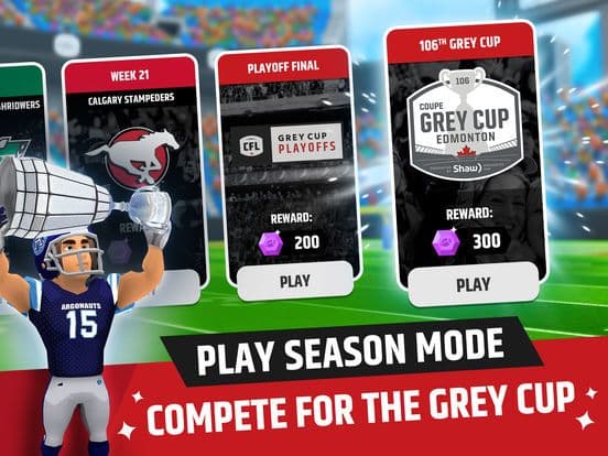 CFL Football Frenzy screenshot 4