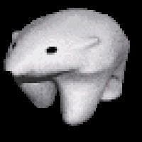 POLARBOY ADVENTURES