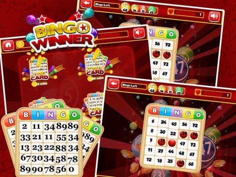 Bingo Big Fish - Bingo Tournaments & More screenshot 4