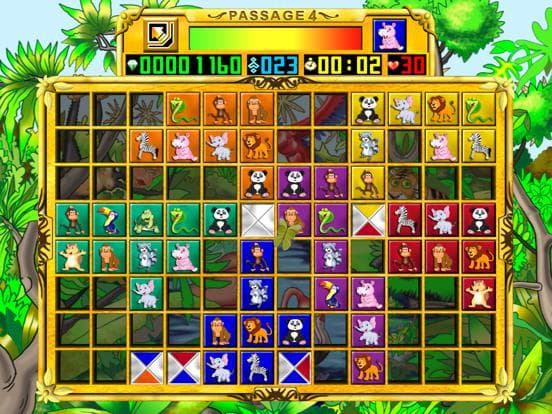 Passage 4 XL screenshot 3
