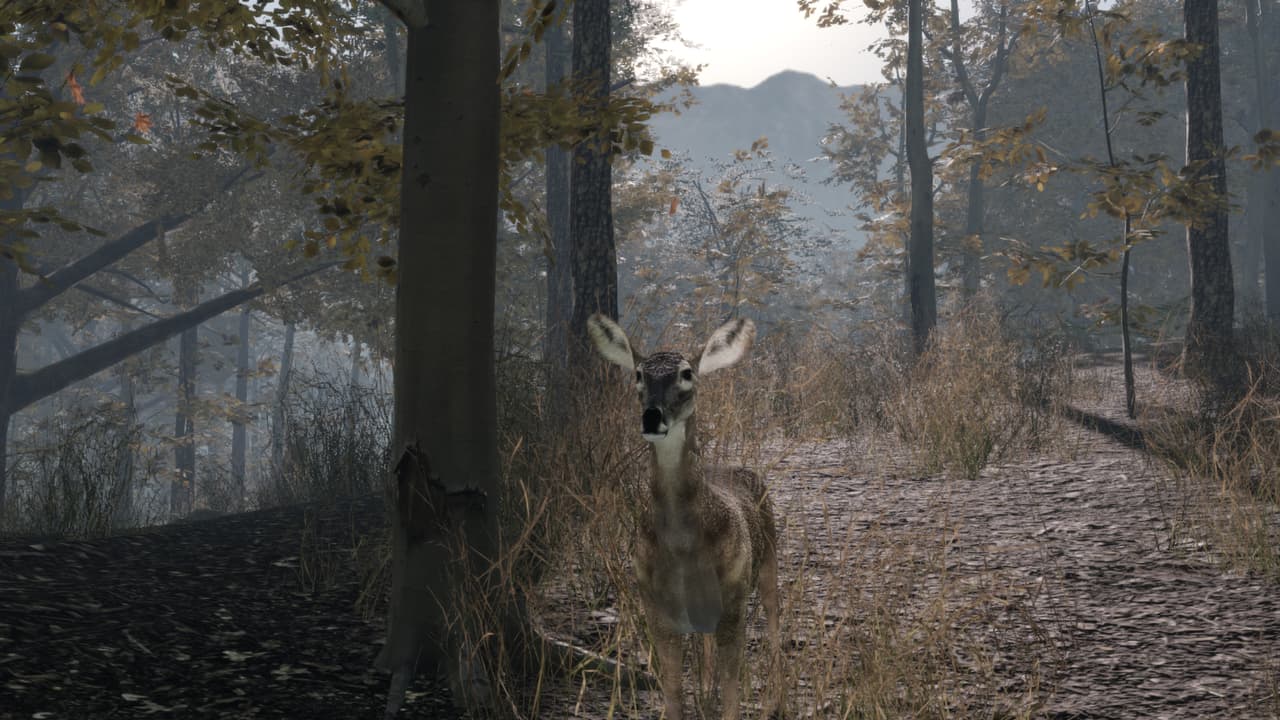 Pro Deer Hunting 2 screenshot 3