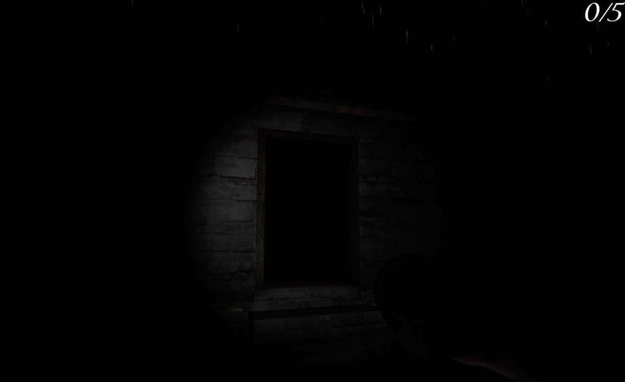 Long Night in Forest (Release)
