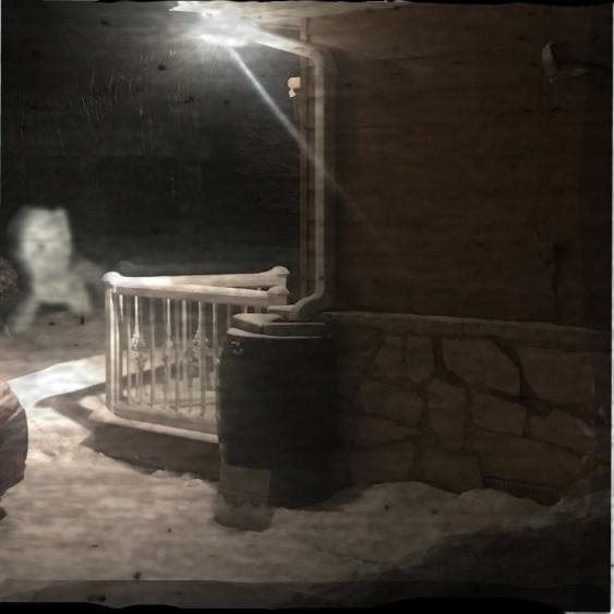 FNF vs Feline over Mandela