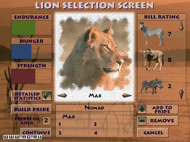 Lion
