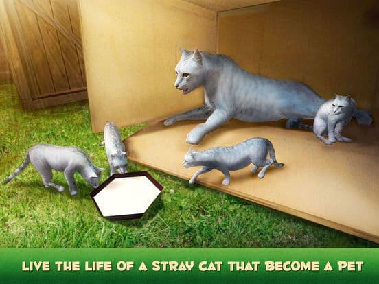 Hunting Cat Survival Simulator 3D screenshot 2
