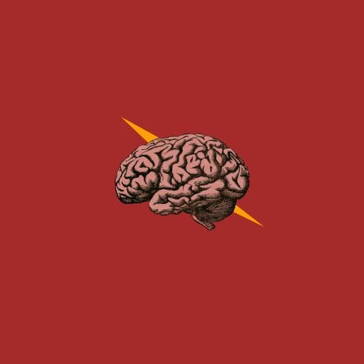 Farstbrain