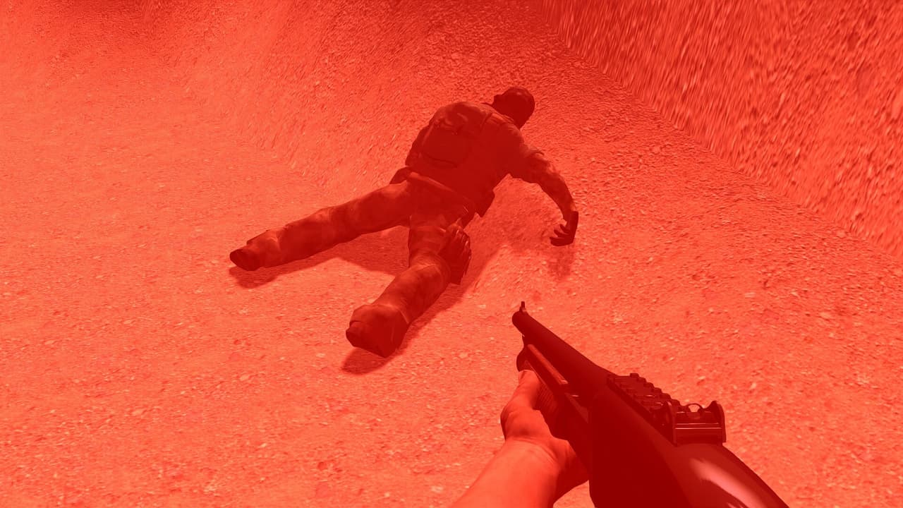 Apocalypse Survivor