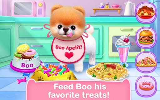 Boo - The Worlds Cutest Dog screenshot 3