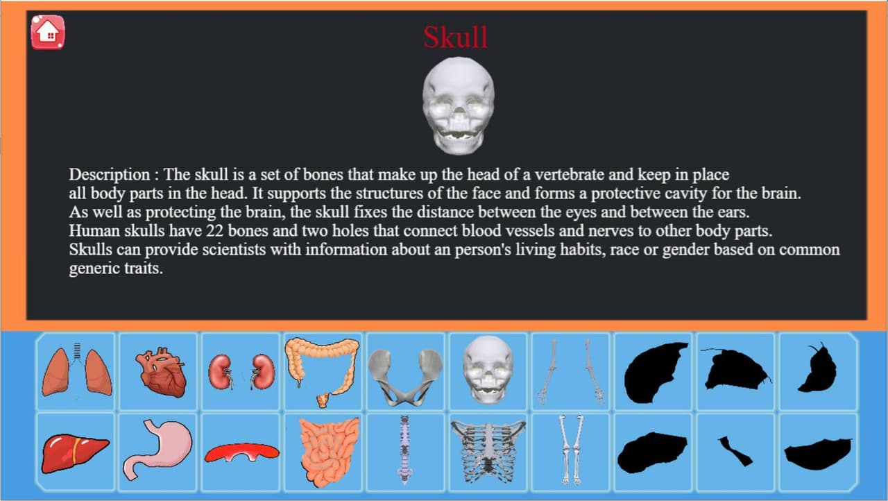 Anatomy Academy screenshot 4