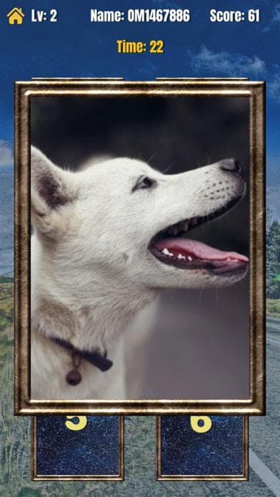 OmegaMatching screenshot 4