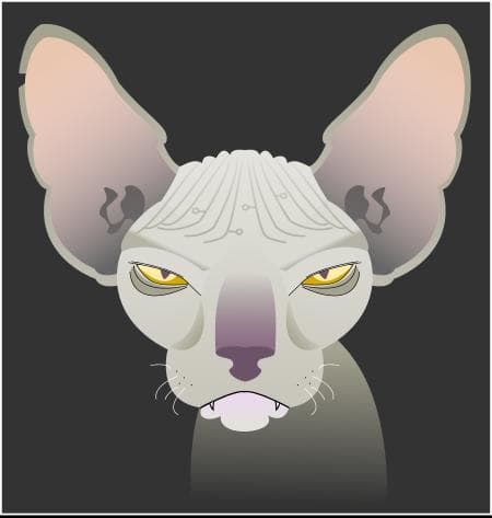 Quad Vector versus the Quantum Cats