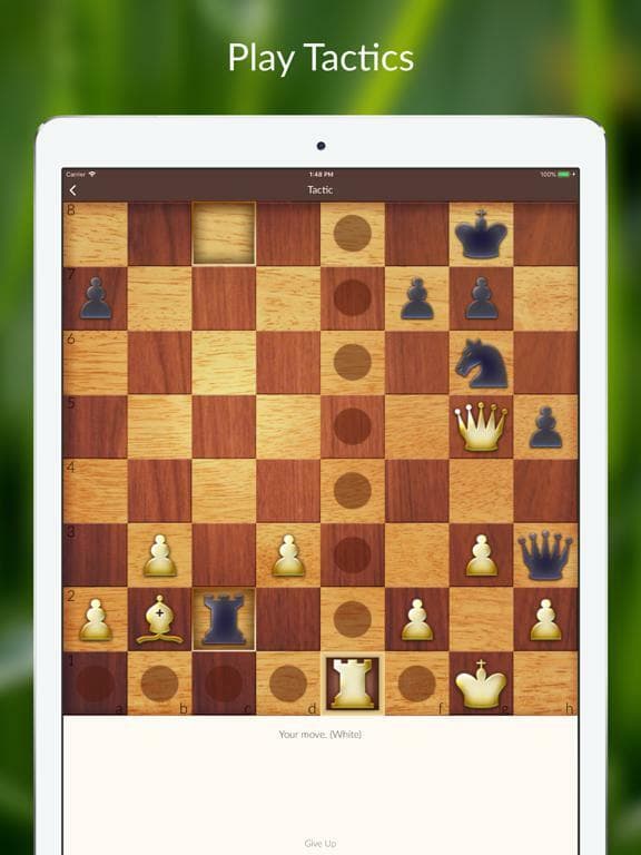 Chess Tactics and Lessons screenshot 2