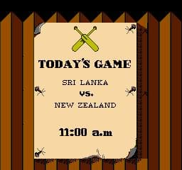 International Cricket screenshot 5