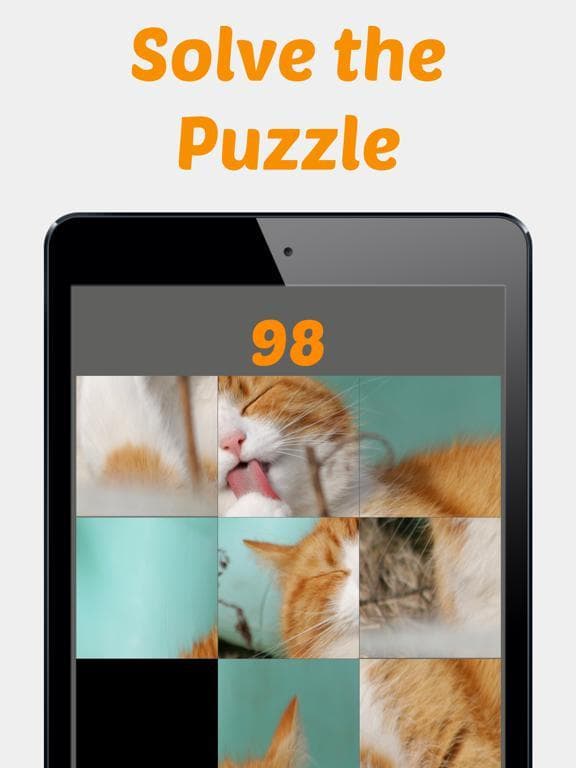 Cute Kitten Photos Puzzle screenshot 3