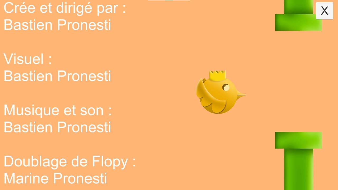 Flopy Bourde