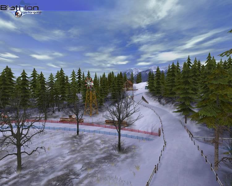 Biathlon 2006: Go for Gold screenshot 6