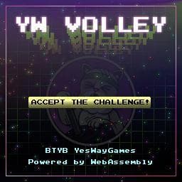 YW Volley