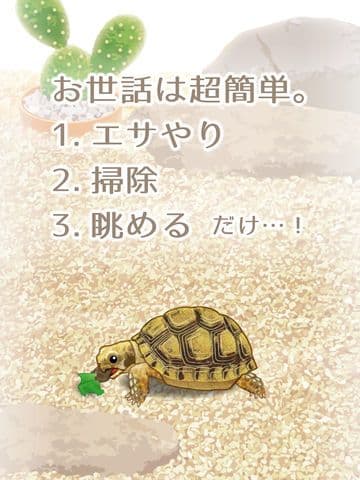 Tortoise Aquarium Free screenshot 3