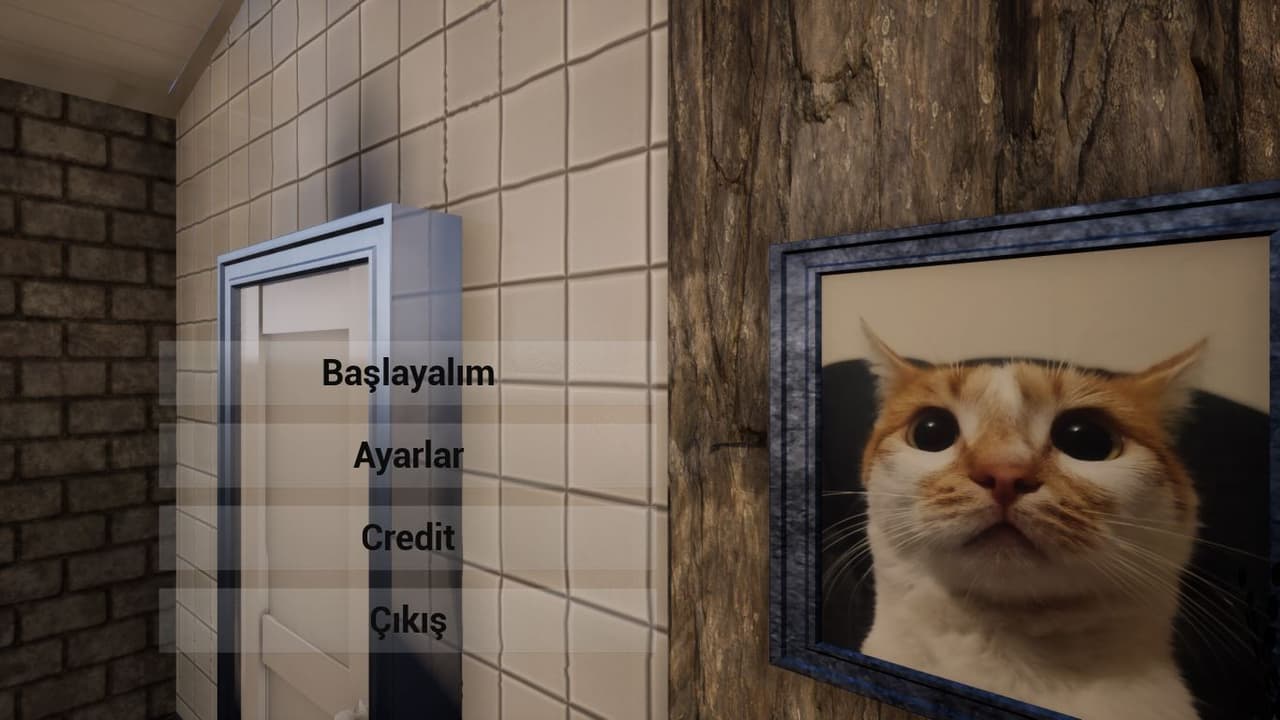 Catcan screenshot 2