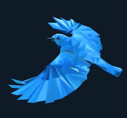 Birdlife