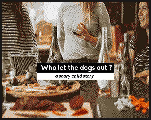 Who let the dogs out ?