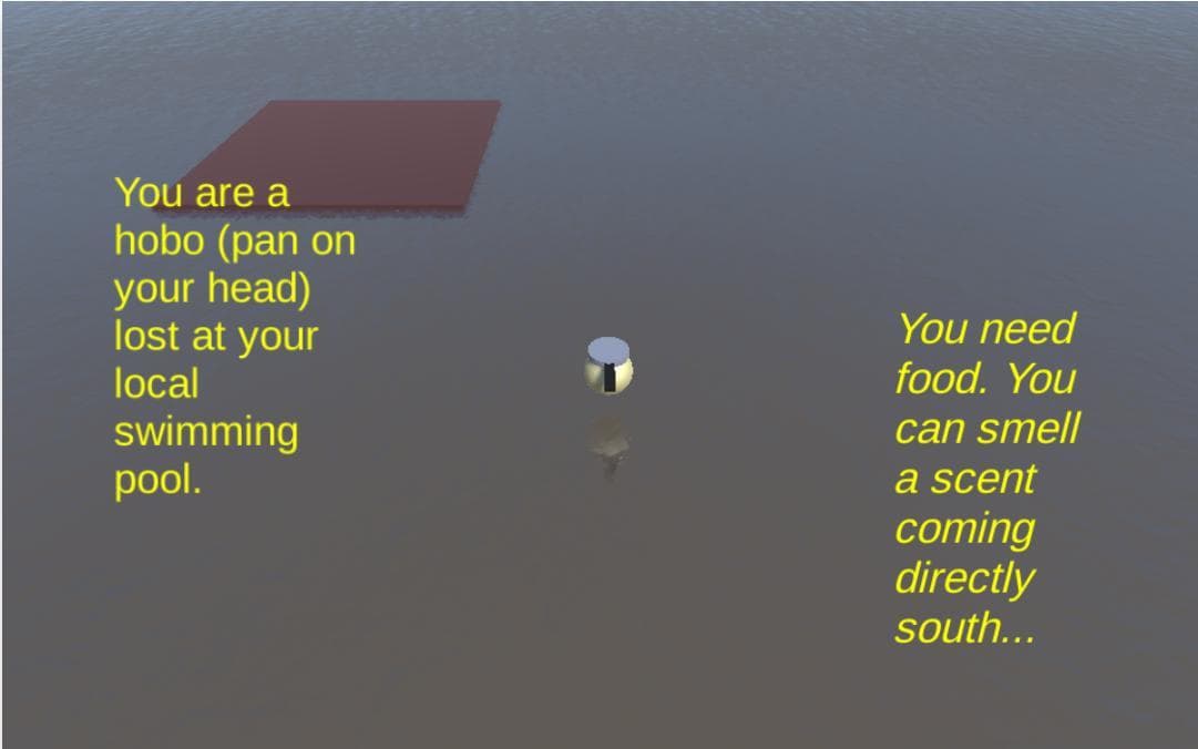 Hobo in a Pool