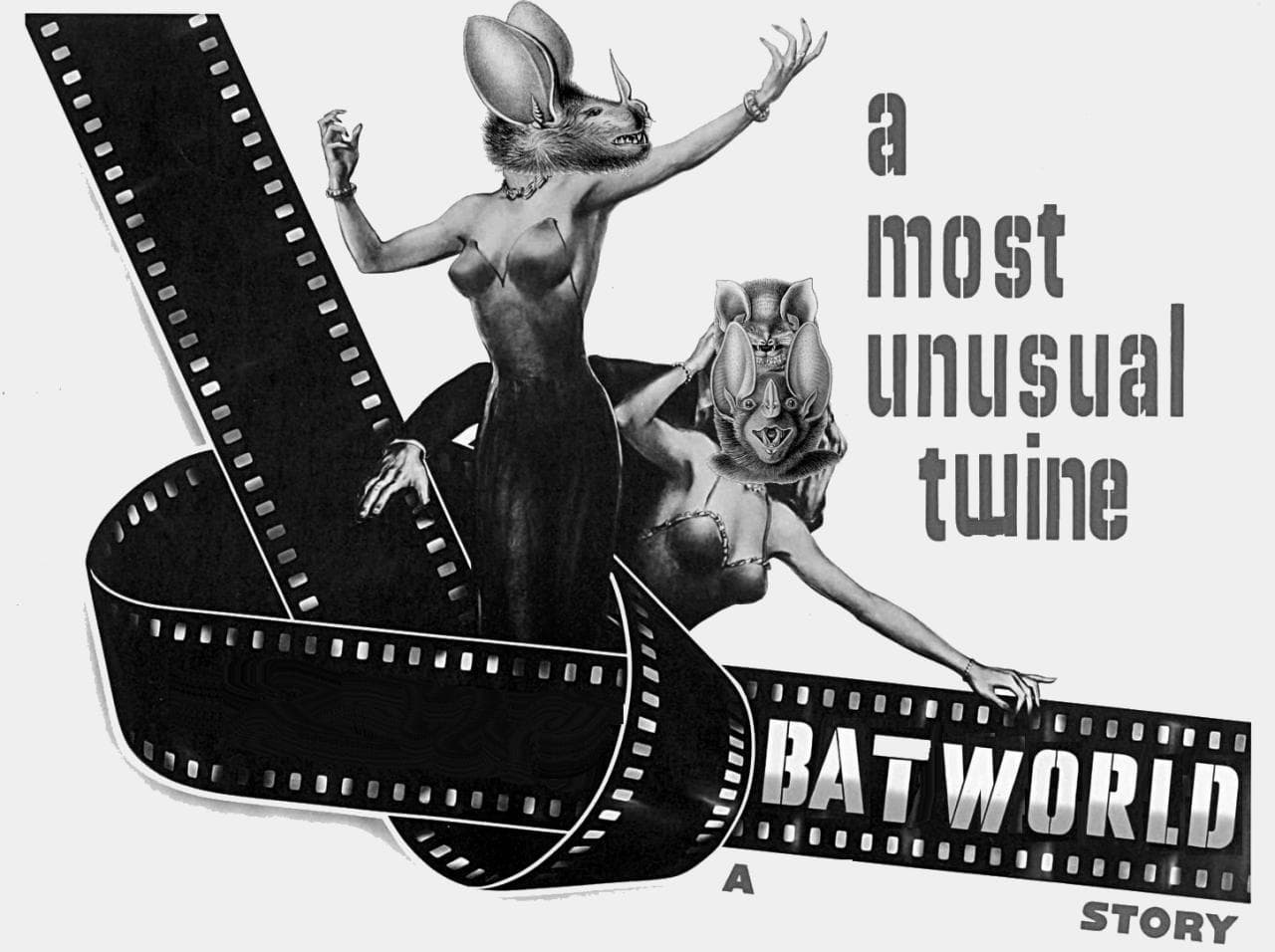 ^. BATWORLD .^ screenshot 2
