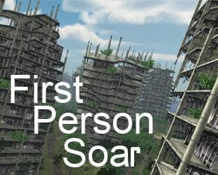 First Person Soar
