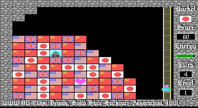 Flag Puzzle