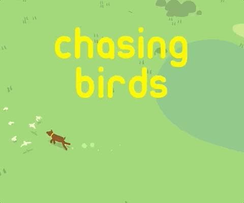 chasing birds