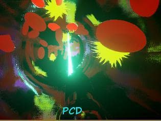 Programmable Cell Death