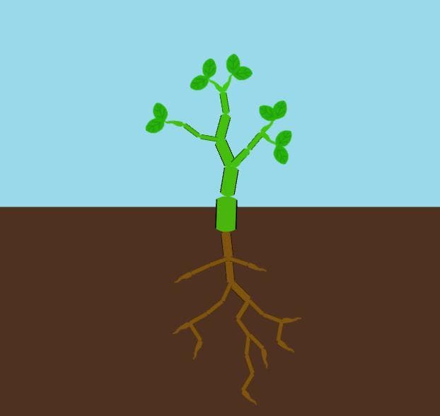 Grow (itch) (Japes)
