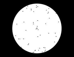 Microscopia