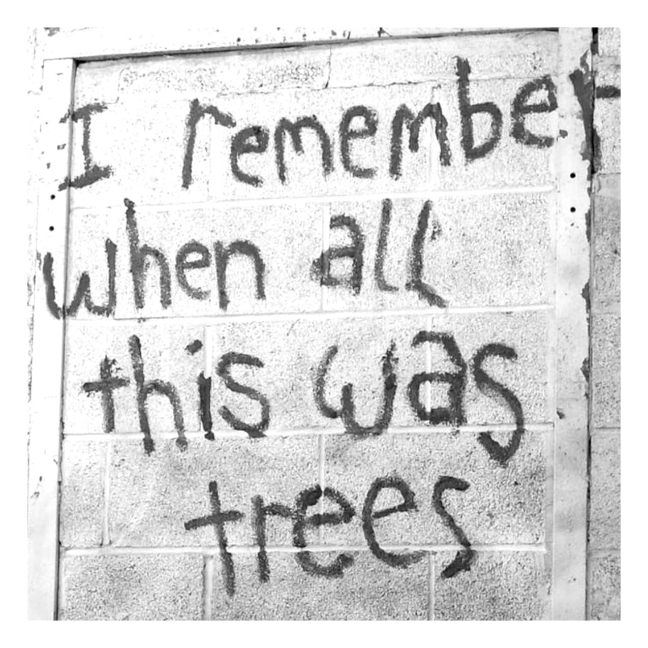 I Remember When All This Was Trees