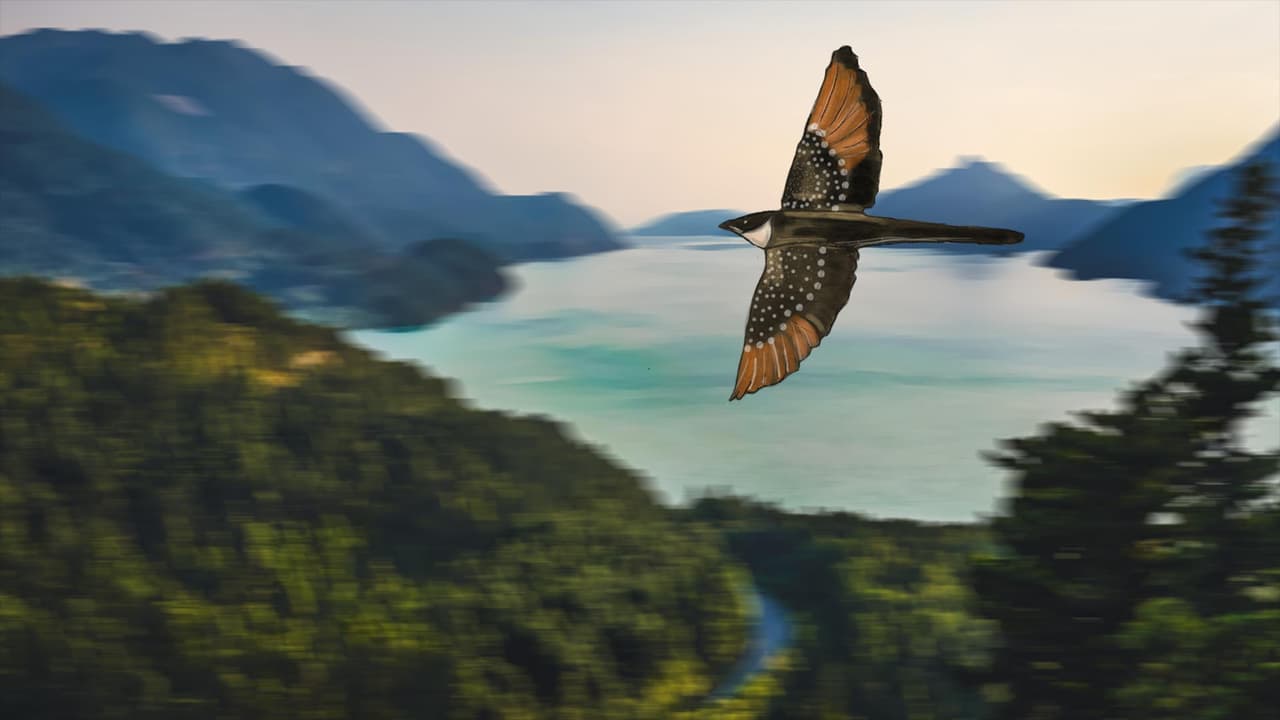 Flight of Claude screenshot 2